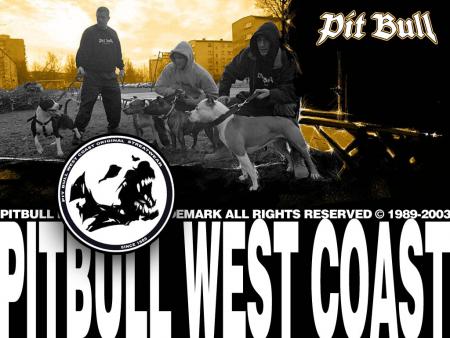 Pit bull west coast